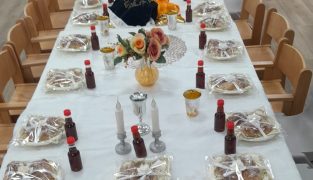 IMG-20231109-WA0066