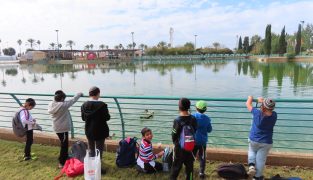 IMG-20240123-WA0206