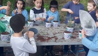 IMG-20240403-WA0078
